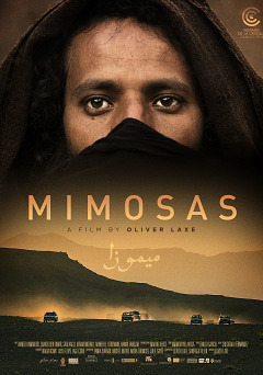 Afficher l'image d'origine
